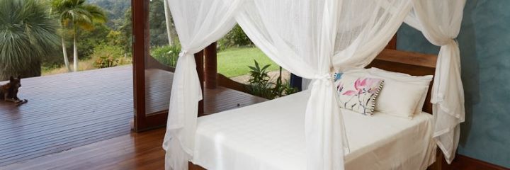 What is the best mosquito net 